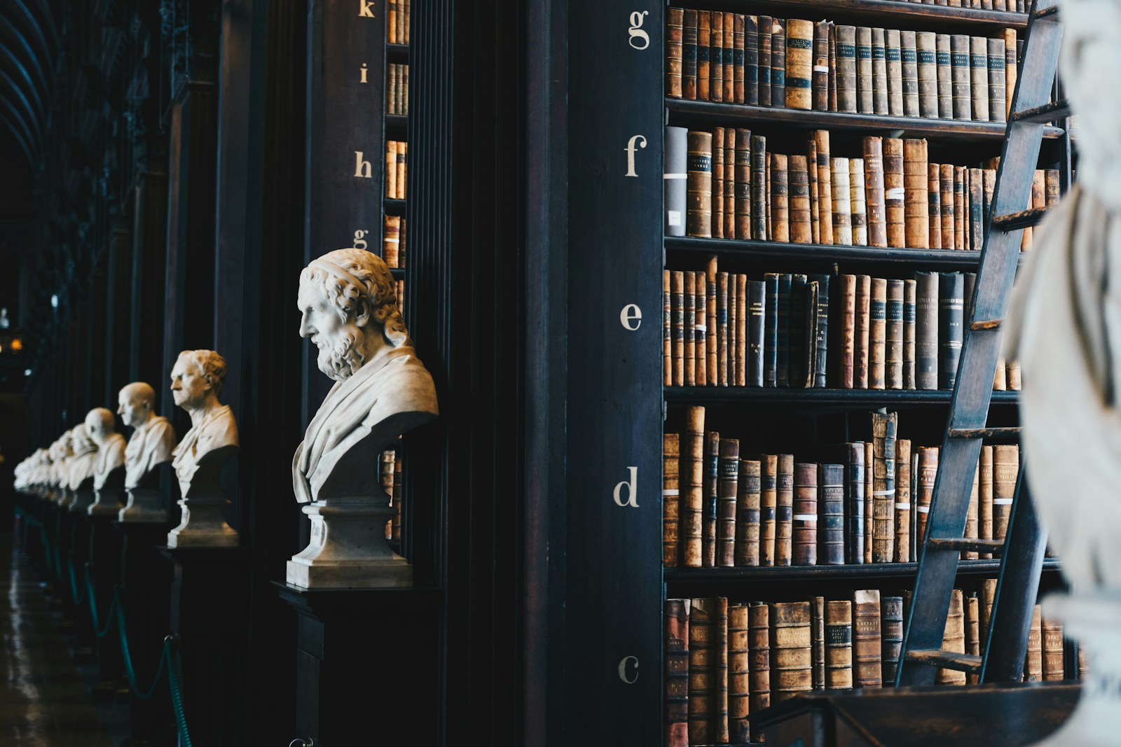 Rows of books in a law library